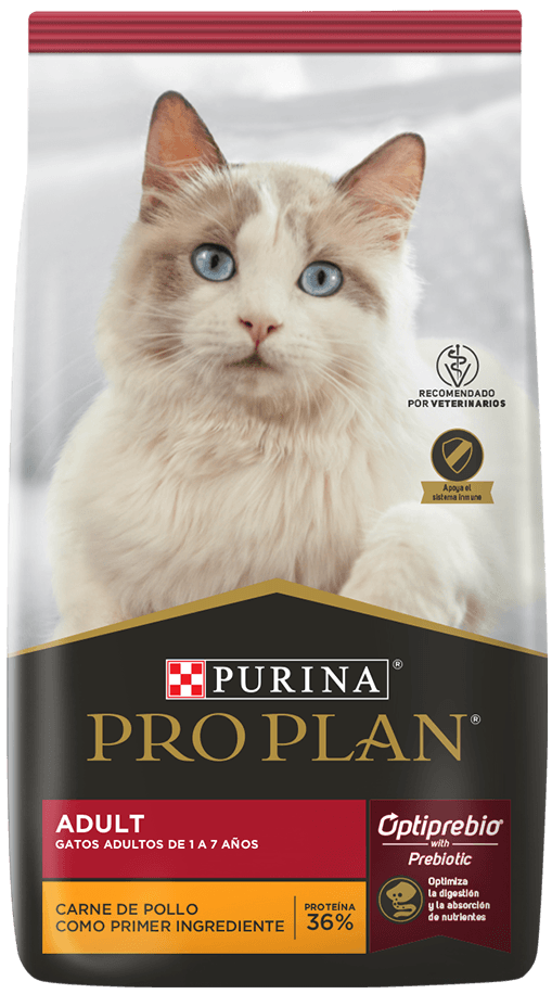 Producto 5
